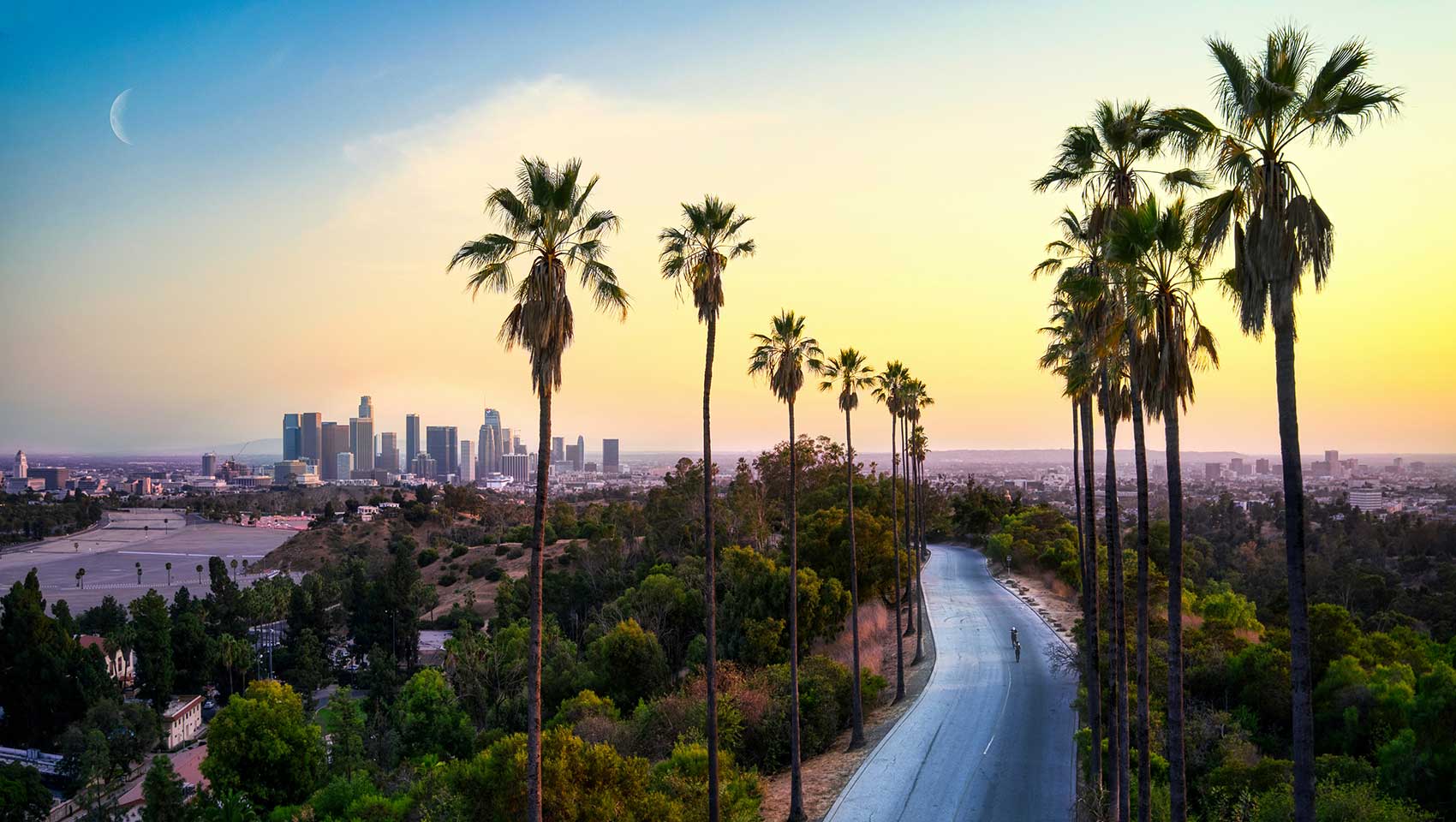 los angelews skyline