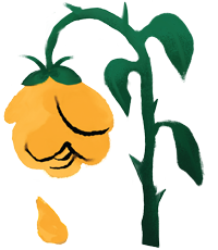 No Rose Yellow Rose Graphic